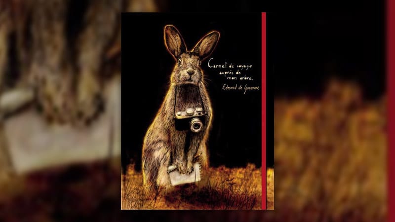 Voyage auprès de mon arbre – Le cahier naturaliste d'un lapin