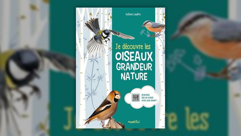 Je-decouvre-les-oiseaux-grandeur-nature-